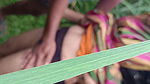 Desi Indian Bhabhi in the jungle with brother-in-law