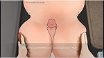 Plowed gameplay granny ass squeeze , handjob ,titjob and blowjob