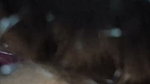 Today I Tring Foot Massage and Sitting Handjob