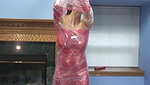 Amateur lesbians play with cellophane and dildos in the living room