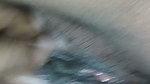 Beautiful Girl Oral sex