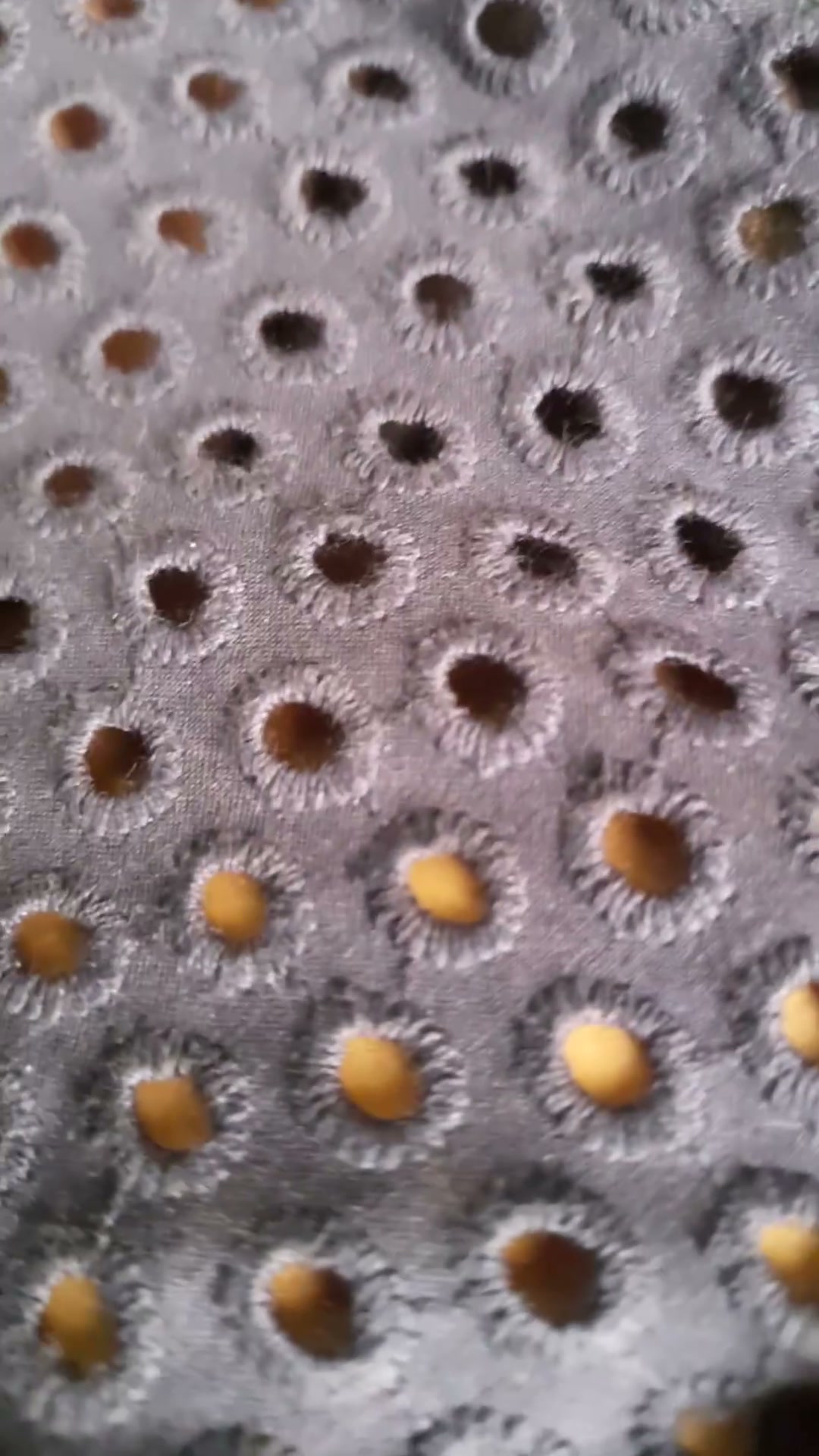 Frame 4