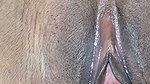 Hot Bangladeshi Hindu boudi Pussy Sex Porn Video My boyfriend fucked me and made my pussy bigger. I want to make my pussy bigger