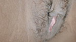 I fucked my younger stepsister