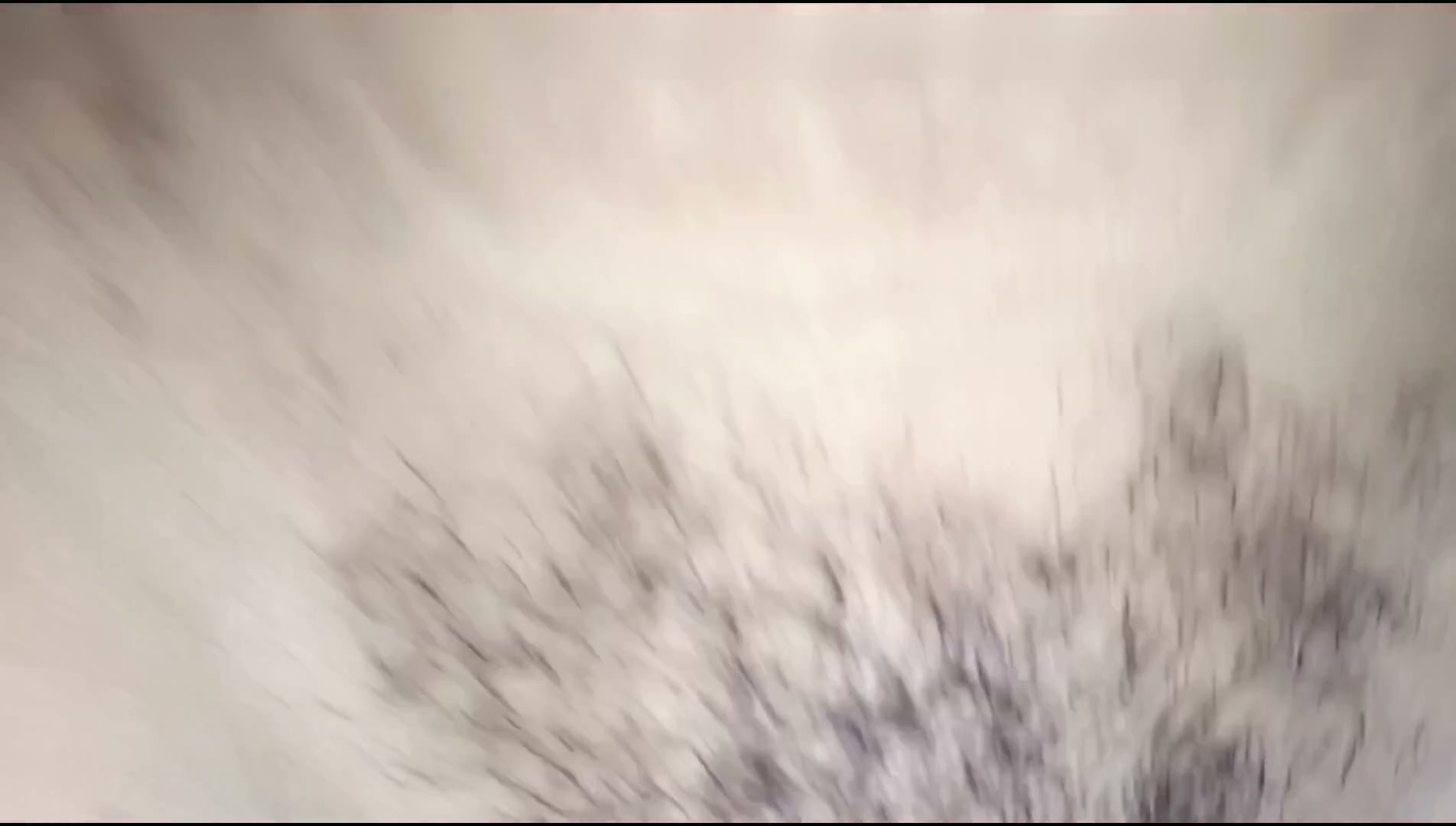 Frame 5