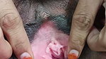Rashel bhabhi ki jawani
