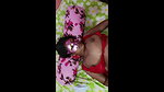 Desi housewife hot sex with her brother in law and sister in law video