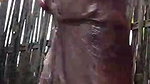 Desi sexcy bhabi
