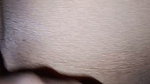 Short sex video Episodes you