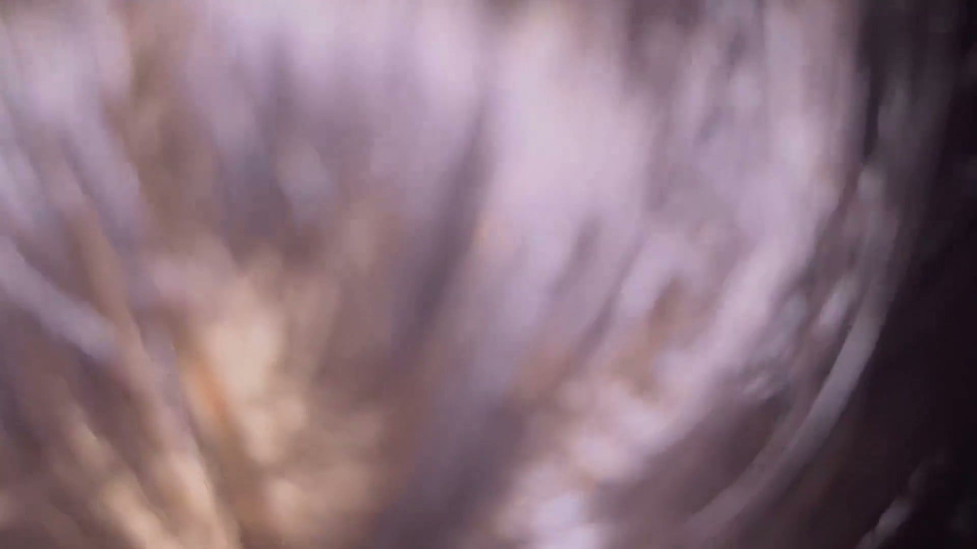 Frame 4