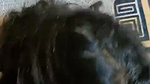 Chubby Tanker Indian Wife showing many clips updates (2) 127
