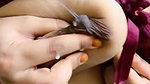 Chubby Tanker Indian Wife showing many clips updates (2) 62