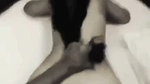 G__3_(4)