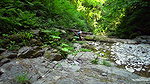 7Veronika Charm Hot Surprise In Forest Two Guys Found Stuck Girl And Fuck Her