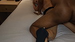 AnyaXo First BBC