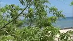 Tayleah POV Beach Fuck In Public
