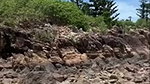 Tayleah POV Beach Fuck In Public
