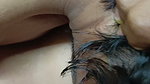 Desi Hot Wife Shear