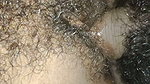 Hard Core Indian Sex