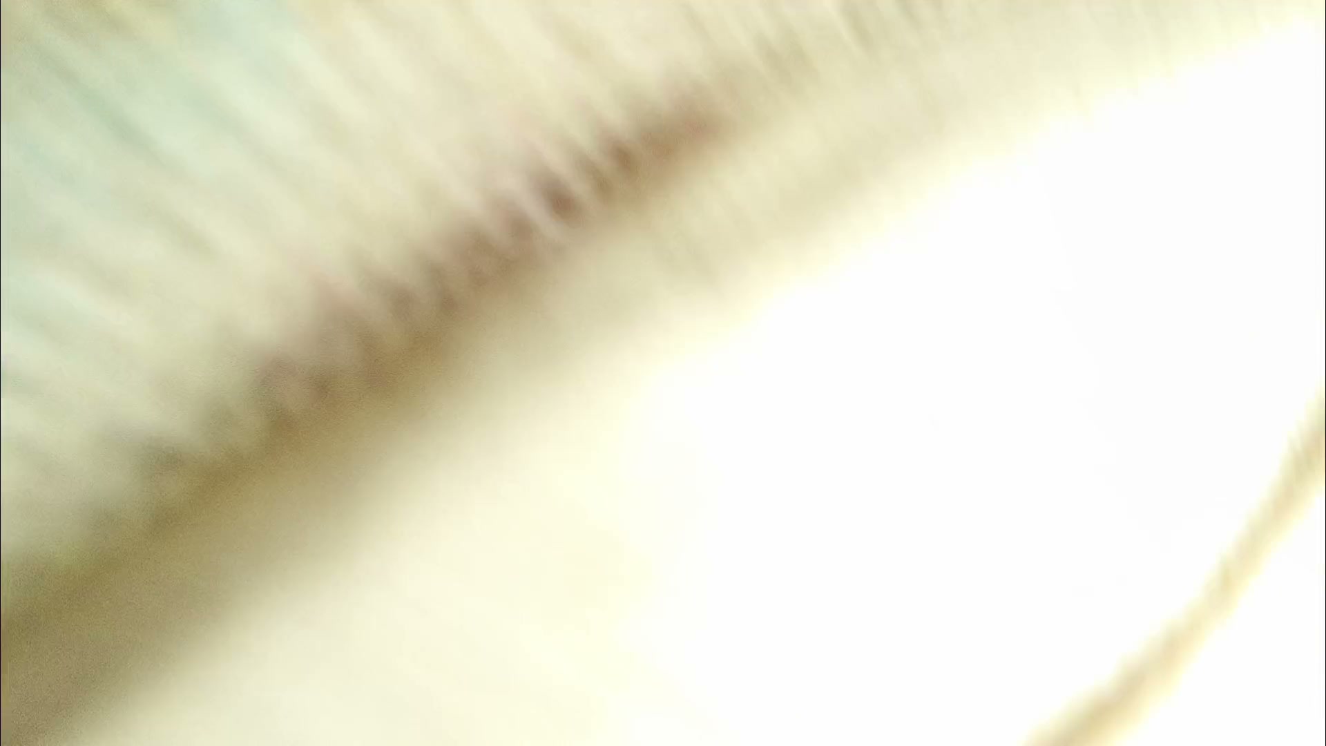 Frame 5