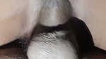 Sri Lankan Cheating Wife Fucked by Next Door Man in the Morning While I Calling Her Phone