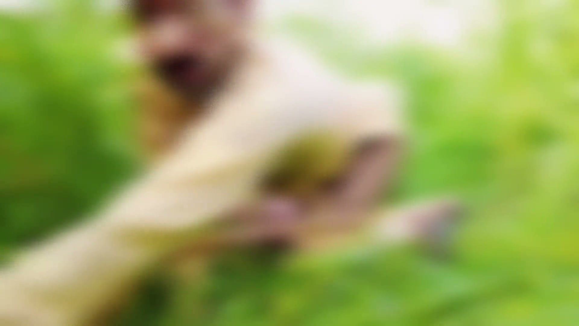 Frame 3