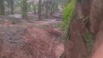 Stepmother Plays Tarzan in the Jungle Piss