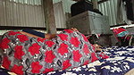 A Beautiful Romantic Night With My College Girlfriend It was a calm and peaceful evening after college. We sat together under t
