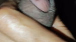 desi indian morning sex
