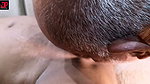 Indian Desi With her Hardcore Softcore licking Kissing Fucking Videos