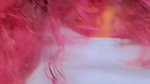 HOT DESI QUEEN 5 VIDEOS