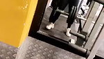 GF__2_(1)