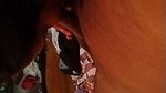 G__5_(2)