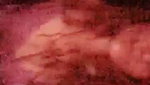 Sexy Indian Horny Kolkata Girl Showing & Teasing 3