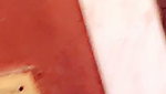 Sexy Indian Horny Kolkata Girl Showing & Teasing 51