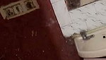 Sexy Indian Horny Kolkata Girl Showing & Teasing 82