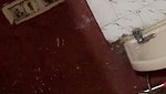 Sexy Indian Horny Kolkata Girl Showing & Teasing 82