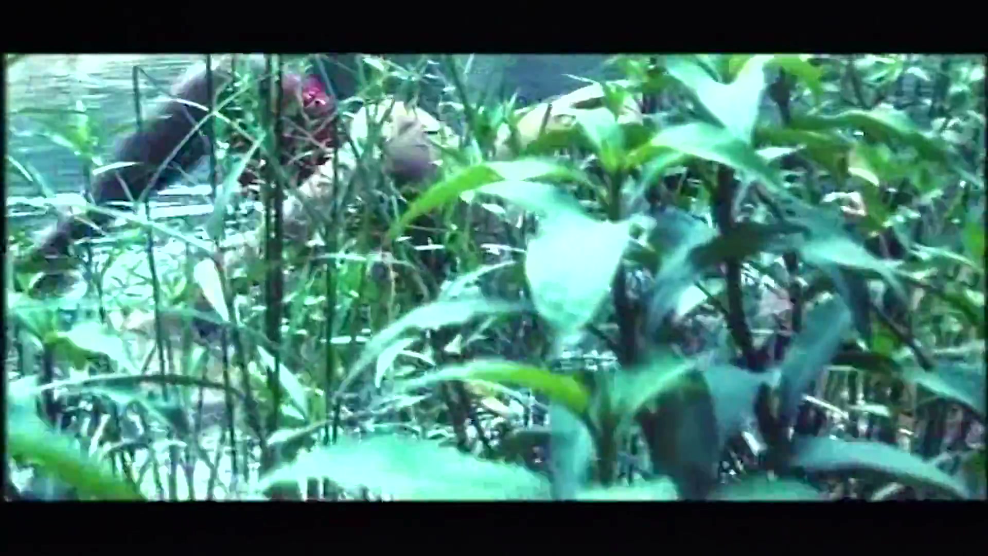 Frame 8
