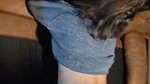 0hu475gssbjlgxjc5kjeh source