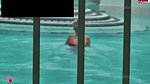 AmyStarr HEMMUNGSLOSER FICK IM OFFENTLICHEN SCHWIMMBAD