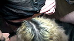 Andy Star 30 minuten hardcore AO Gangbang mit blonder schlampe mit dicken titten