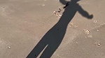 Anuskatzz Vanlife UK Vlog public blowjobs and fucking on the beach