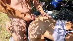 CoraBitch Zum sonnenbaden am Bornbruchsee fur einen dreier