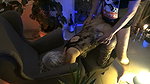 EstefaniaErotica Doggytsyle Cumshot zusammenstellung