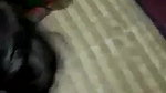 Beautiful Desi Cute Bhabi Boob sucked By Hubby