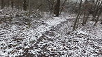 GeileNachbarn Schneller Quckie im schneebedeckten Wald
