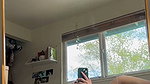 Hailey Hitch aka Haibales HaileyHitch VERTICAL videos 15