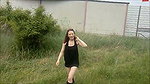 Ivy Diamond V geln auf einem Hochstand