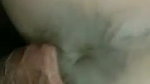 Bhabhi doggy with moans
