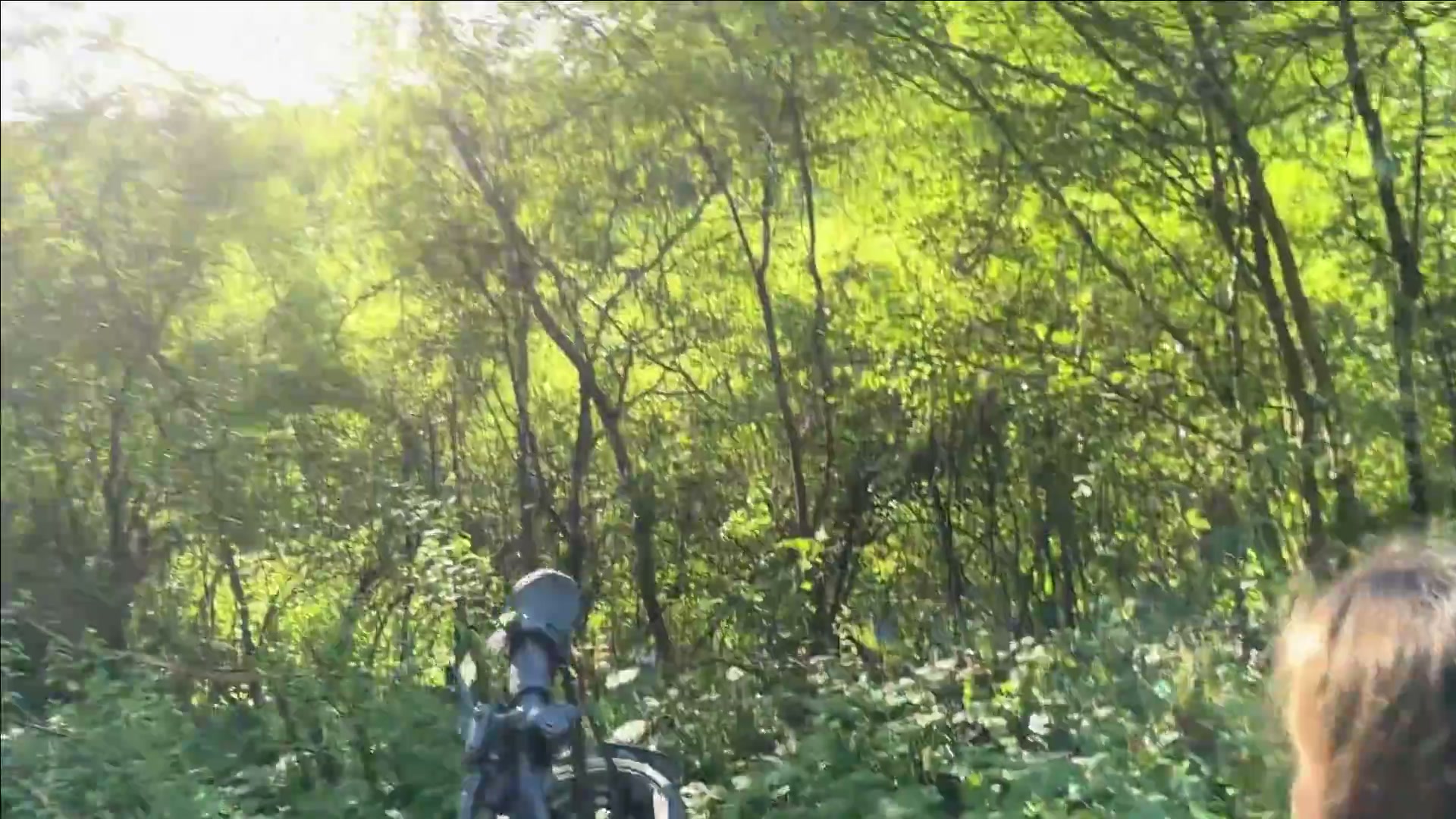 Frame 10